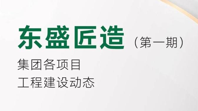 【东盛匠造】第一期┃集团各项目工程建设动态